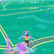Lure Module in action